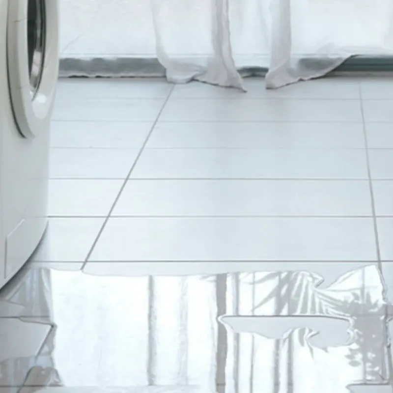 Appliance Leak Cleanup in Wayne County, IA
