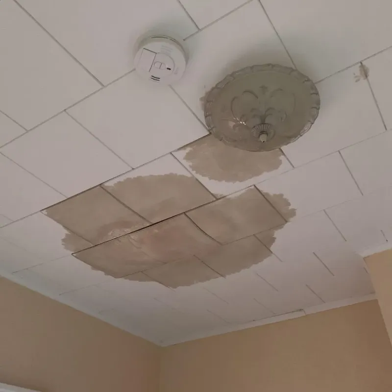 Ceiling Water Damage Repair in Wayne County, IA