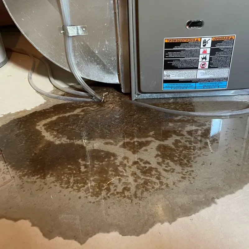 Pipe Burst and Leak Restoration in Wayne County, IA