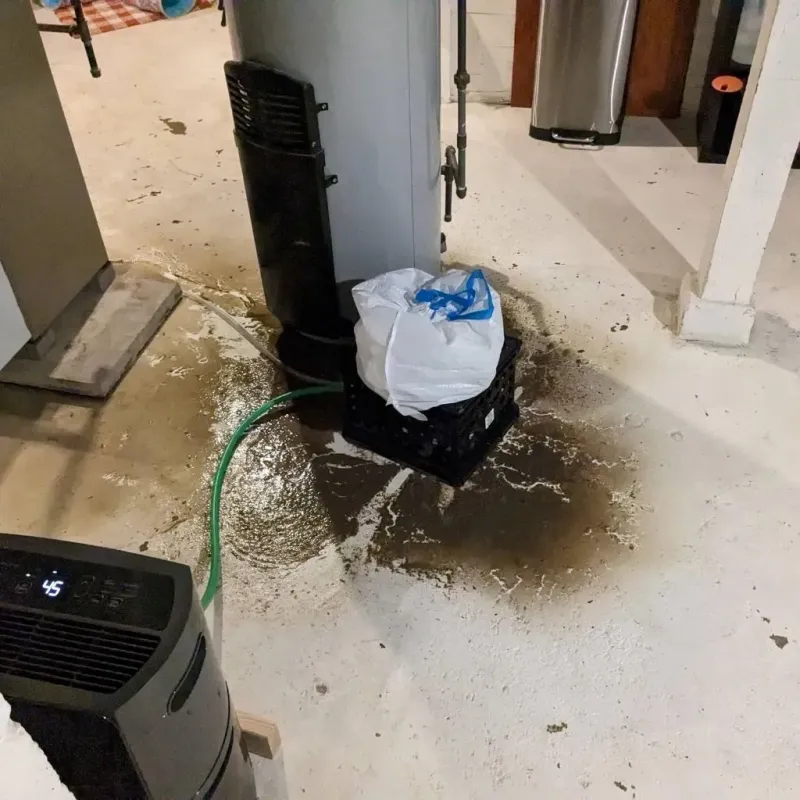 Sewage Backup Cleanup Service in Wayne County, IA